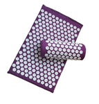 Acupuncture Massage Cushion