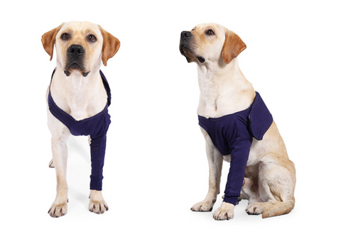Dog Anti-Licking Sleeve