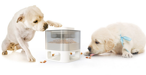 Dog Food Dispenser